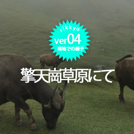 擎天崗草原にて